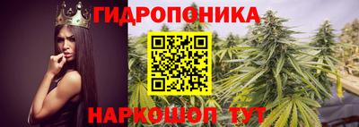 каннабис Кингисепп