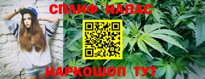 ПСИЛОЦИБИНОВЫЕ ГРИБЫ Канаш